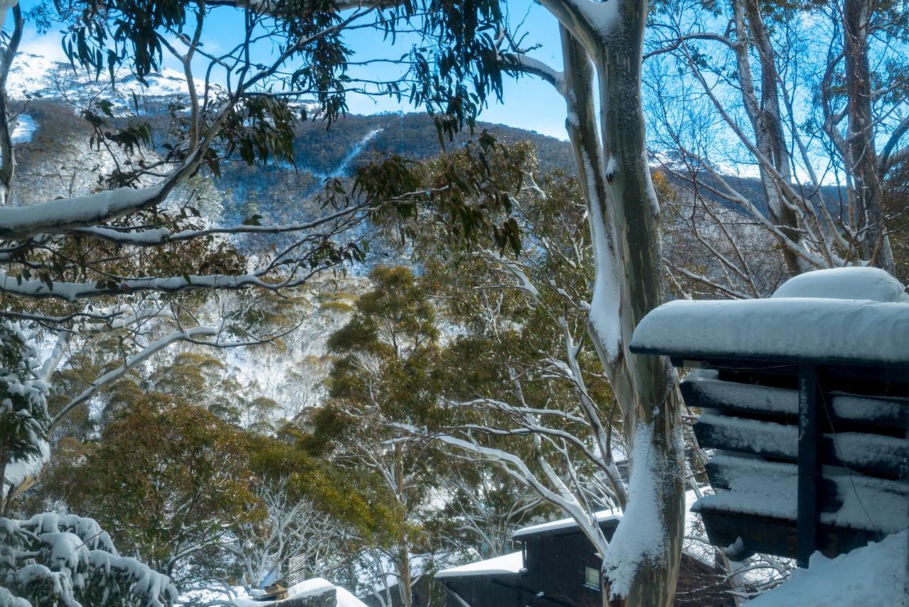 Pure Chalet Thredbo Exterior photo